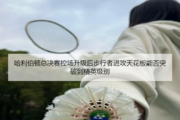哈利伯顿总决赛控场升级后步行者进攻天花板能否突破到精英级别