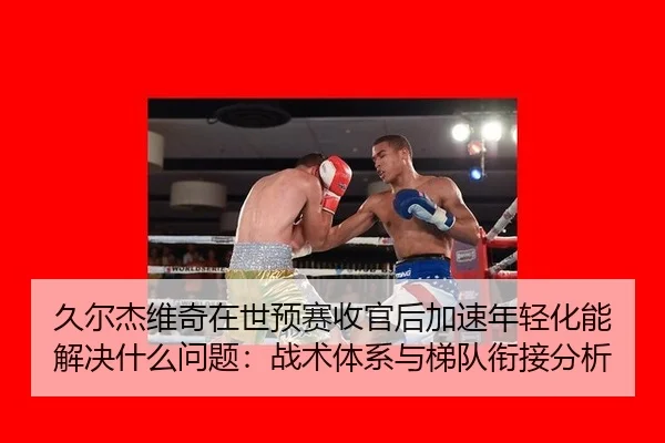 久尔杰维奇在世预赛收官后加速年轻化能解决什么问题：战术体系与梯队衔接分析